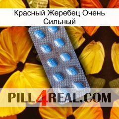 Красный Жеребец Очень Сильный viagra3